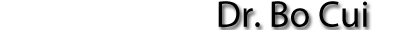 Bo Cui
